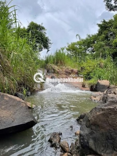 Cần nhượng lại lô đất 5.000m² Ngọc Định – có suối, ô tô tới nơi, giá chỉ 290 triệu/sào